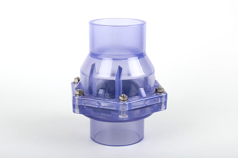 蕉岭透明翻板式止回阀